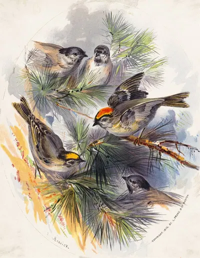 Birds by Henry Walker Herrick, 1875 — digital art print download