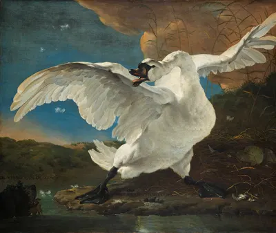 The Threatened Swan by Jan Asselijn, c. 1650 — digital art print download