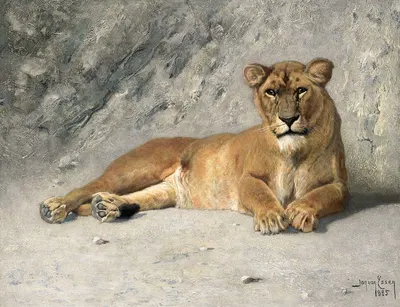 Lioness Resting by Jan van Essen, 1885 — digital art print download