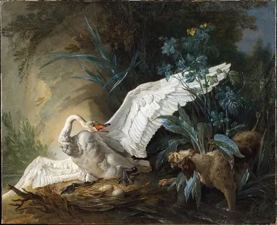 Water Spaniel Surprising a Swan on its Nest by Jean-Baptiste Oudry, 1740 — digital art print download