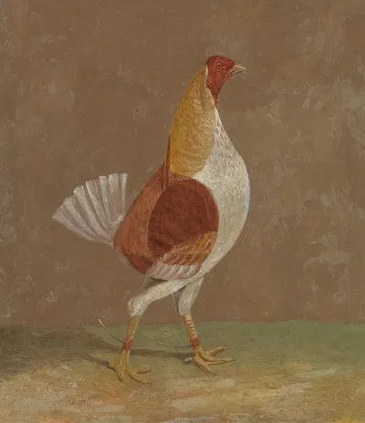 Fighting Cocks, a Pale-Breasted Fighting Cock, Facing Rght by Джон Фредерик Херринг-старший, 1829 — digital art print…