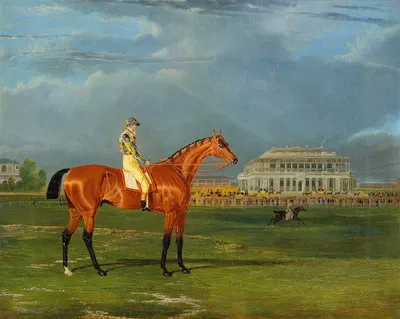Memnon, with William Scott Up by Джон Фредерик Херринг-старший, 1825 — digital art print download