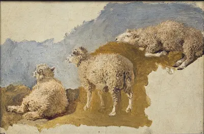 Three Sheep. Study by Kilian Zoll — digital art print download
