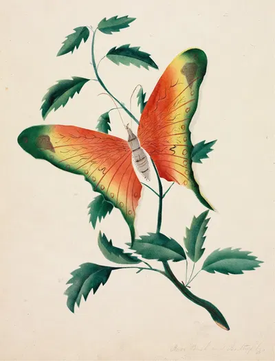 Rose Bush and Butterfly by Мэри Алта Нимс — digital art print download