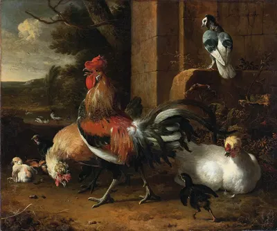 A Poultry Yard by Мельхиор д'Ондекайтер — digital art print download