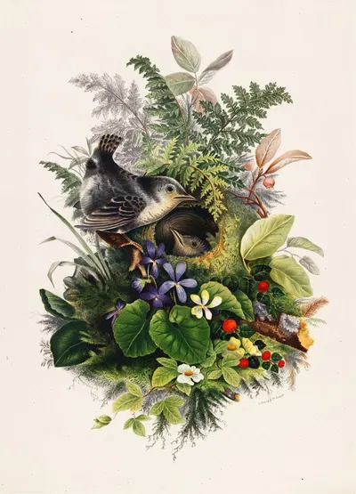 Birds by Olive E Whitney, 1861–1897 — digital art print download