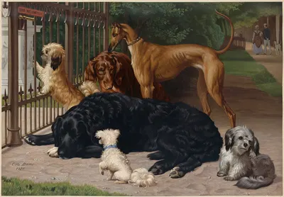 Dogs Not Admitted by Otto Bache — digital art print download