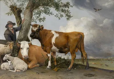 The Bull by Паулус Поттер, 1647 — digital art print download