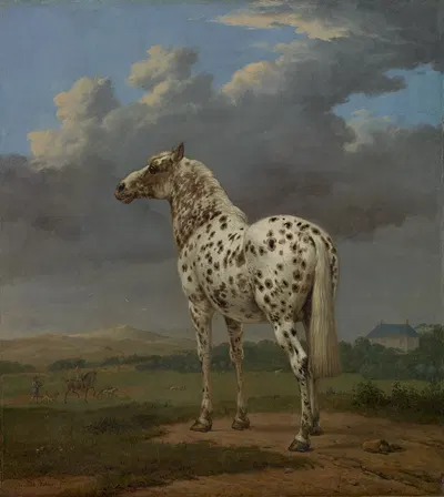 The Piebald Horse by Паулус Поттер, 1650–1654 — digital art print download