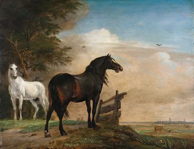 Two Horses in a Meadow near a Gate by Паулус Поттер, 1649 — digital art print download