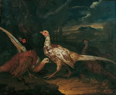 Pheasants by Philipp Ferdinand de Hamilton, 1745 — digital art print download