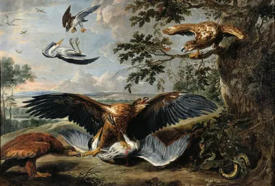 Fight between Eagles by Pieter Boel — digital art print download