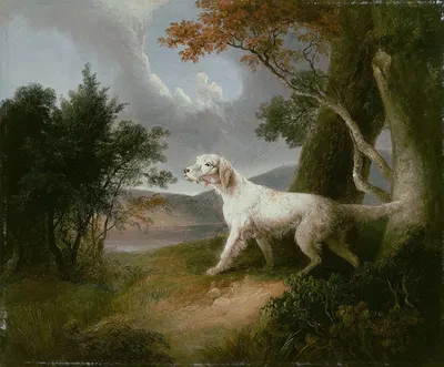Landscape with Dog by Thomas Doughty, 1832 — digital art print download