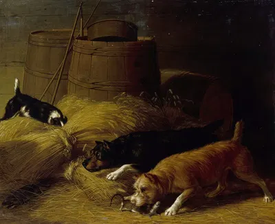 Rats amongst the Barley Sheaves by Thomas Hewes Hinckley, 1851 — digital art print download