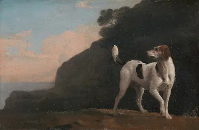 Foxhound by George Stubbs — digital art print download
