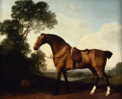 A Saddled Bay Hunter by George Stubbs, 1786 — digital art print download