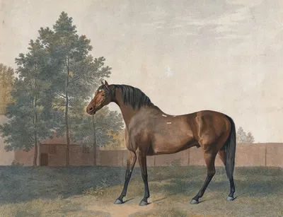 Anvil by George Stubbs, 1794 — digital art print download