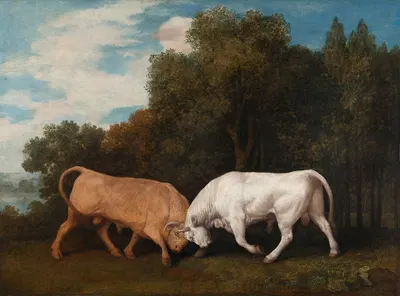 Bulls Fighting by George Stubbs, 1786 — digital art print download
