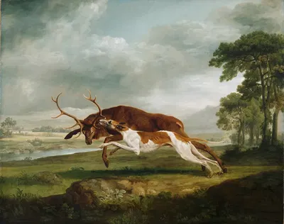 Hound Coursing a Stag by George Stubbs — digital art print download