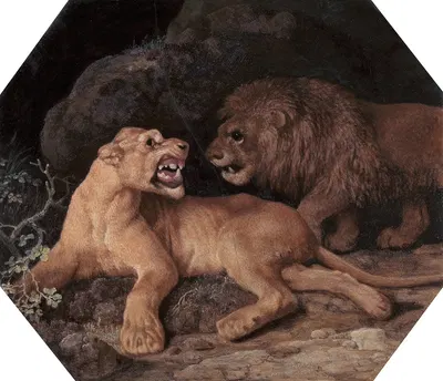 Lion and Lioness by George Stubbs, 1770 — digital art print download