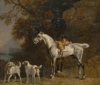Studies for or after 'The third Duke of Richmond with the Charleton Hunt' by George Stubbs — digital art print download