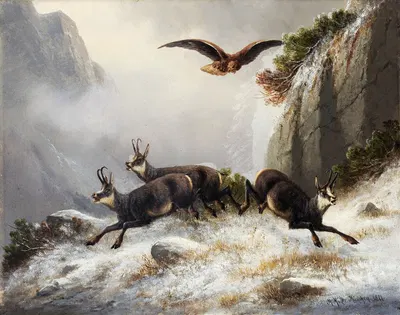 Chamois, persecuted by an Eagle by Мориц Мюллер, 1877 — digital art print download