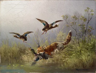 Fox Chasing Ducks by Мориц Мюллер — digital art print download