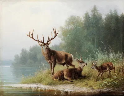 Stag at a Lake by Мориц Мюллер, 1876 — digital art print download
