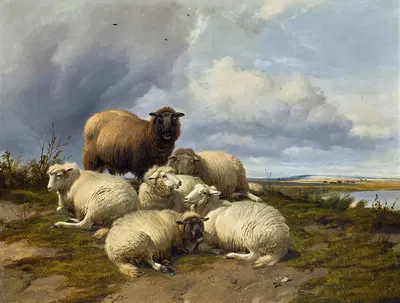 The gathering storm canterbury meadows by Thomas Sidney Cooper, 1874 — digital art print download