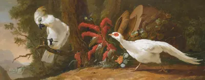 A Sulphur-Crested Cockatoo, A Red-Crested Cardinal And A White Pheasant In A Landscape With A Fallen Urn In The Background…
