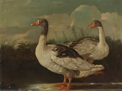 Two Proud Geese by Итальянская школа — digital art print download