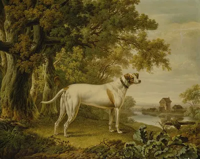 An English Pointer In A Landscape by Чарльз Таун, 1811 — digital art print download
