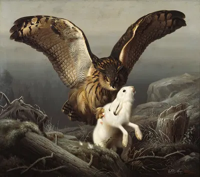 An Eagle-Owl Seizes A Hare by Ferdinand von Wright, 1860 — digital art print download