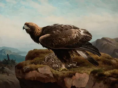 Golden Eagle At A Cliff's Edge by Ferdinand von Wright, 1880 — digital art print download