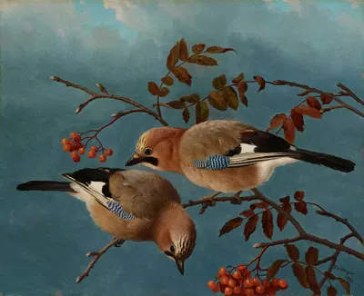 Jays by Ferdinand von Wright, 1877 — digital art print download