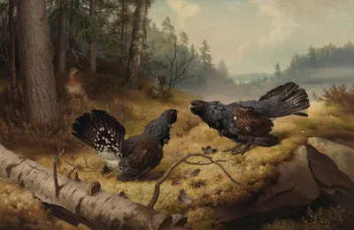 The Fighting Capercaillies by Ferdinand von Wright, 1886 — digital art print download