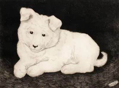 Sneggie, White Puppy by Хьялмар Хагельстам, 1932 — digital art print download