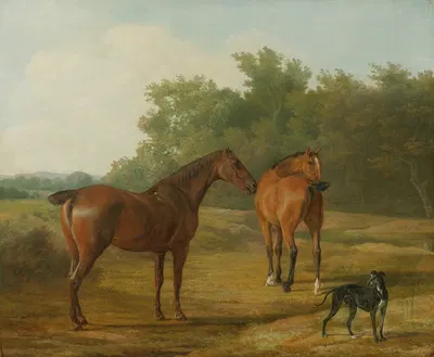 Two Horses And a Greyhound In A Landscape by Жак-Лоран Агаз — digital art print download