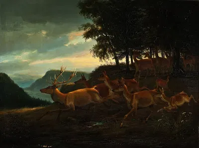 Stag In A Wood by Johann Erdmann Gottlieb Prestel, 1835 — digital art print download