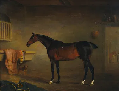 The Bay Easton In His Stable by Джон Фернли — digital art print download