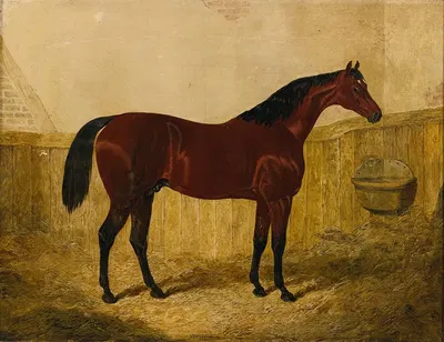 Emilius by Джон Фредерик Херринг-старший, 1844 — digital art print download