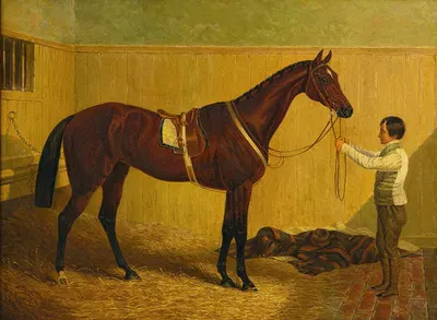 Alice Hawthorn by Джон Фредерик Херринг-старший, 1844 — digital art print download
