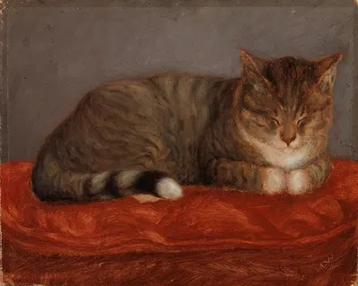 Lying Cat, Mosse by Maria Wiik, 1872 - 1873 — digital art print download