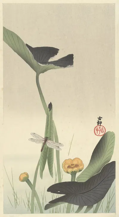 Dragonfly and lotus by Ohara Koson, 1900 - 1930 — digital art print download