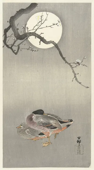 Ducks at full moon by Ohara Koson, 1900 - 1945 — digital art print download