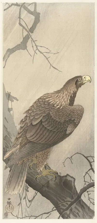 Eagle on tree branch by Ohara Koson, 1900 - 1910 — digital art print download
