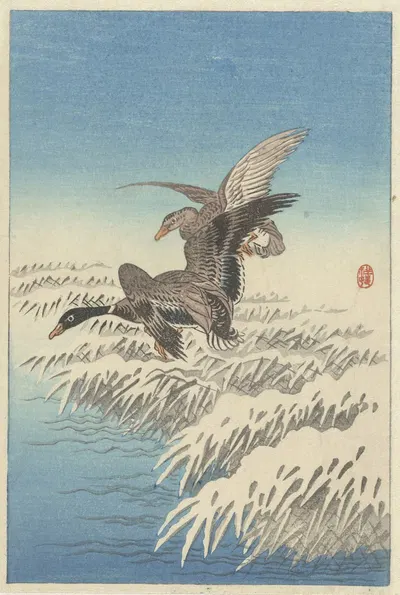 Flock of ducks flying above snowy reed collar by Ohara Koson, 1900 - 1945 — digital art print download