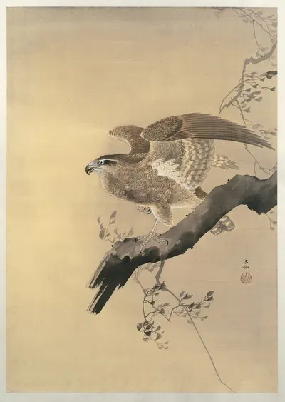 Hawk by Ohara Koson, 1887 - 1945 — digital art print download