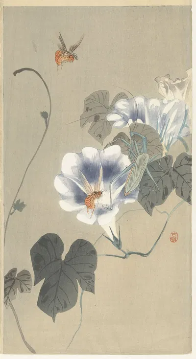Insects at bindweed by Ohara Koson, 1900 - 1930 — digital art print download