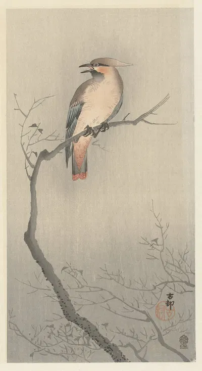 Japanese waxwing on branch by Ohara Koson, 1900 - 1930 — digital art print download
